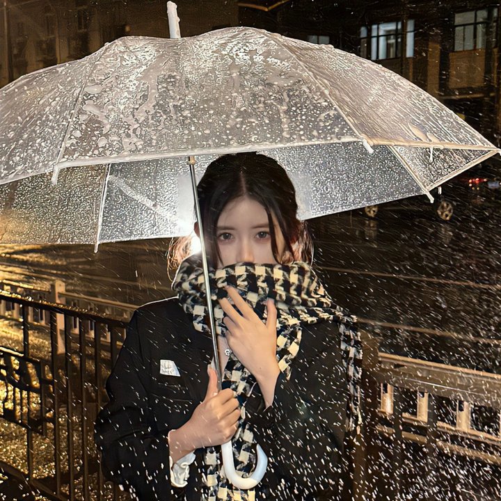 灵犬雪莉2：冒险再出发